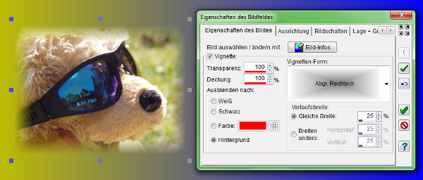 Heyer's Video-Cover - Bildfeld