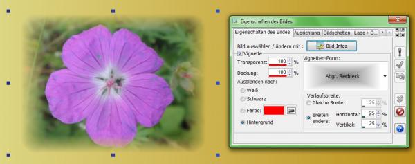 Zum Vergrößern anklicken! Heyer's Etiketten-Studio Pro - Bild